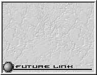 Future link